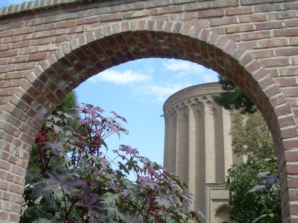 portfolio image