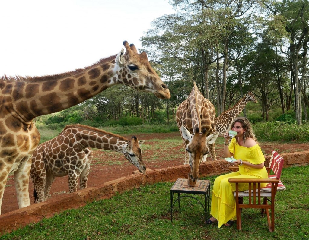 اقامت در هتل زرافه مانور کنیا